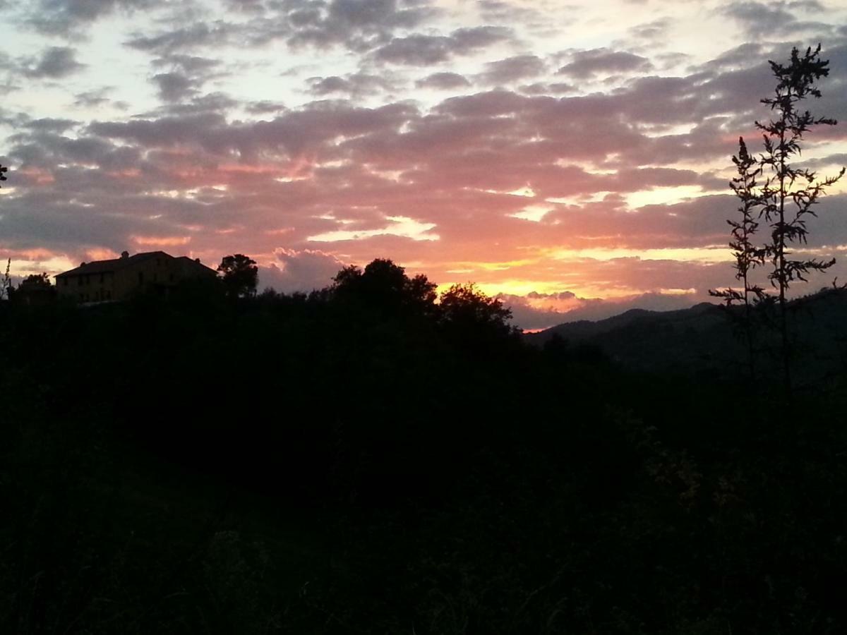Girfalco Country House Bed and Breakfast Urbino Esterno foto